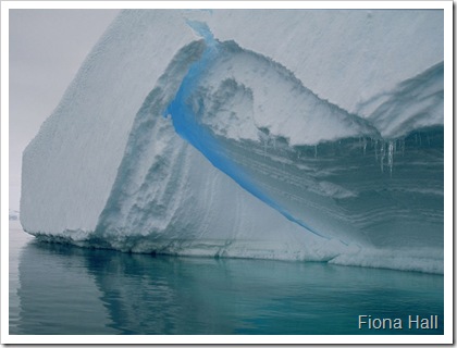 Iceberg in Antarctica