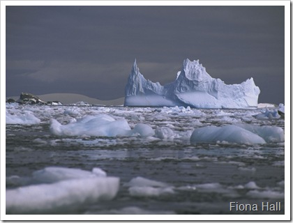 Iceberg in Antarctica