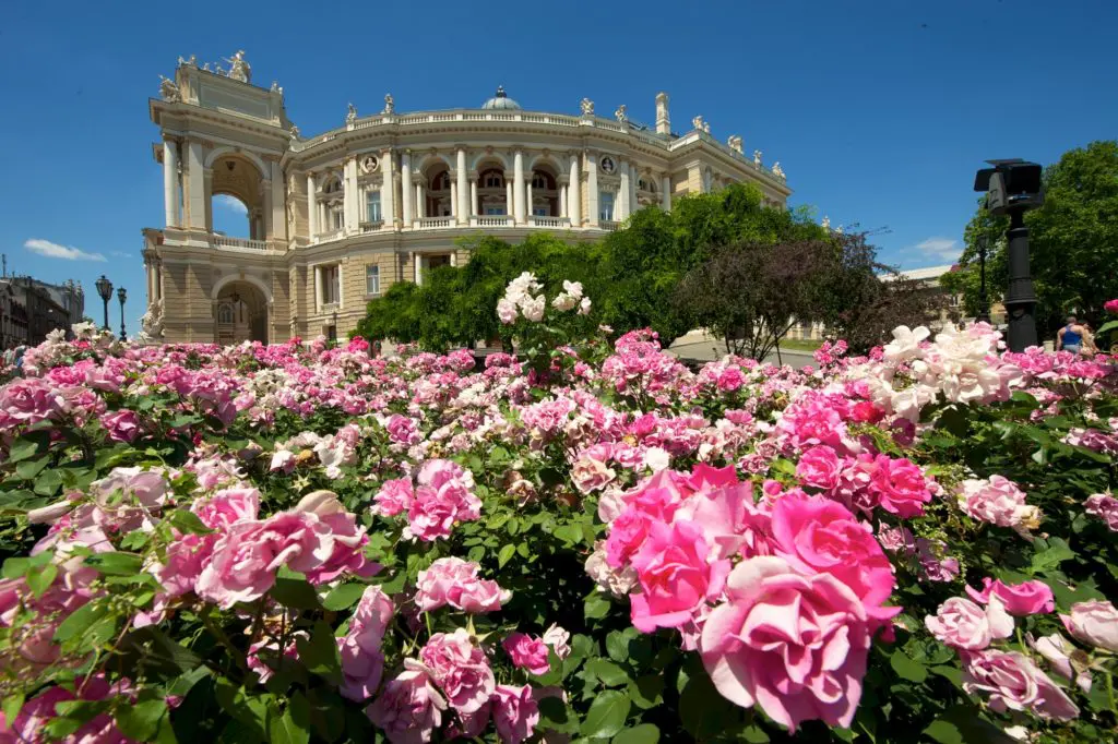 Odessa Opera House with flowers