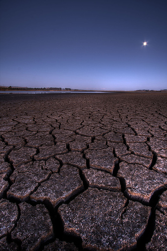 Desert Moon Rising