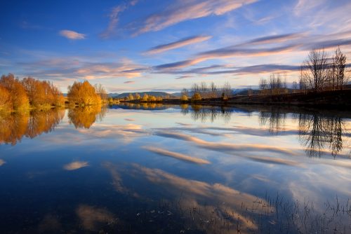 Reflected Beauty