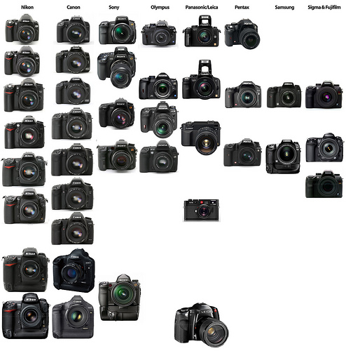 State of the DSLR market: Nikon vs. Canon vs. Sony/Minolta vs. Olympus vs. Panasonic/Leica vs. Pentax vs. Samsung vs. Sigma vs. Fujifilm digital SLR cameras, as of January 2009