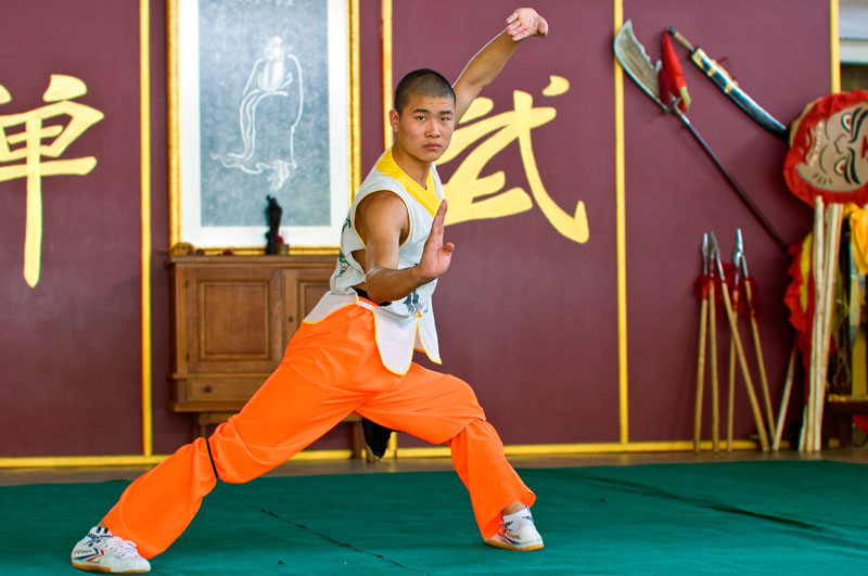 Shaolin kungfu, martial arts, shooting martial arts