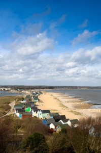 a beach with houses and trees