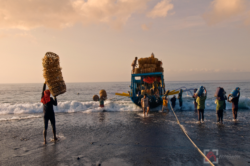 Balinese workers load a boat in the early morning light copyright Aloha Lavina