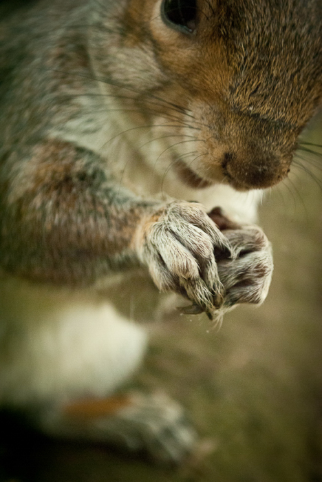 2 be aware of the risks involved (Little hands)