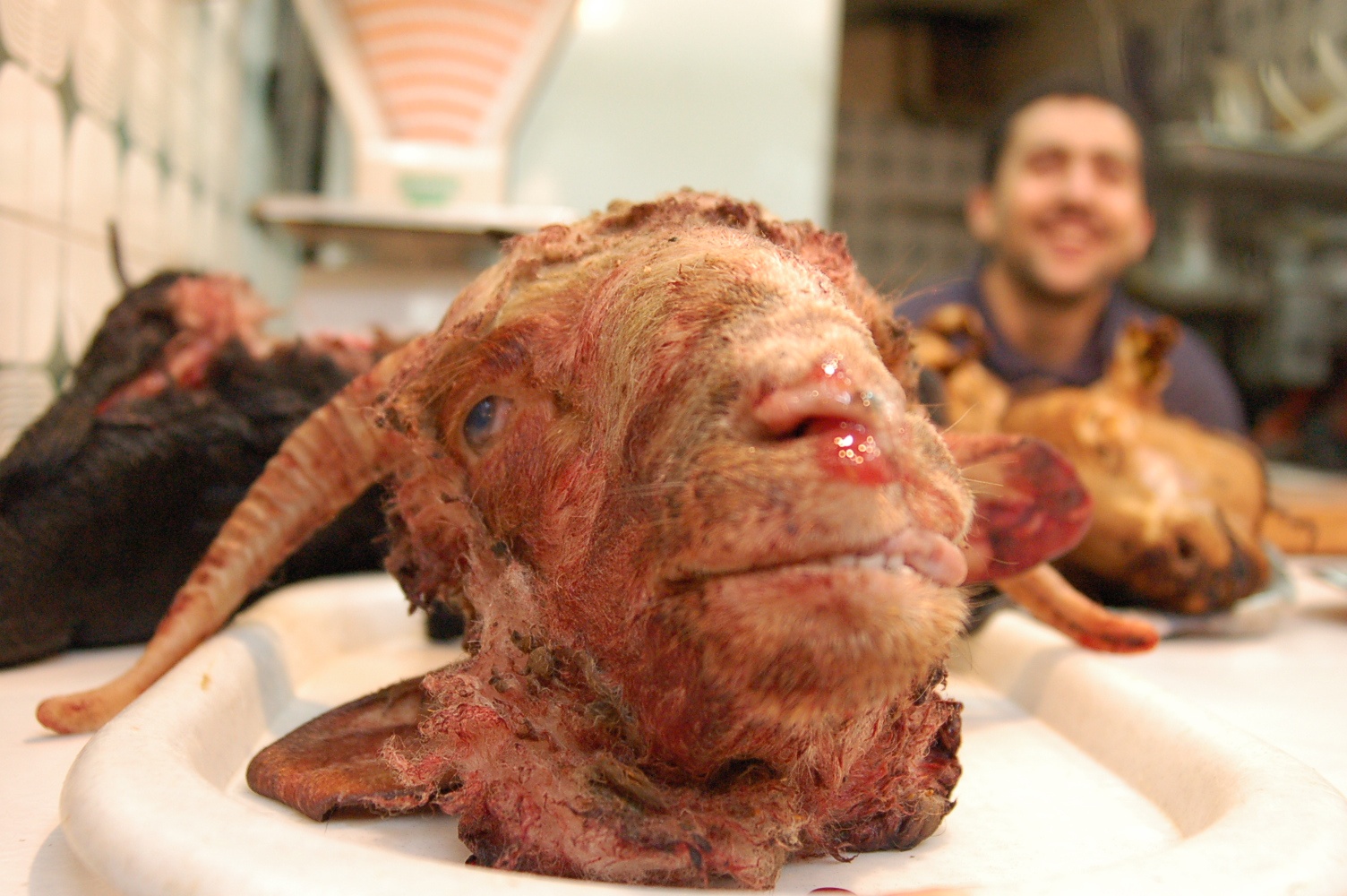 A lambs head sits in a Moroccan market.