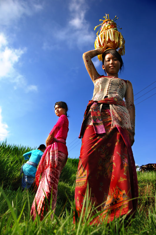 Balinese girls on the way to temple copyright Aloha Lavina.