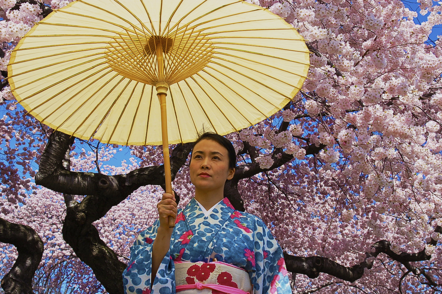 In this photograph, the cherry blossoms reveals something about the portrait subject's Japanese culture.- Chase Guttman