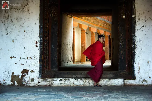 Buddhist novice in Thimpu, Bhutan copyright Aloha Lavina.