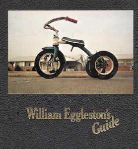 Guide, William Eggleston