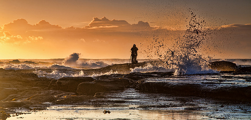 Aquatic scene