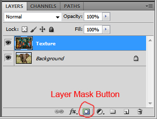 Layer Mask