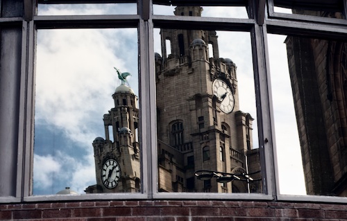 Office-Shop Window Reflection