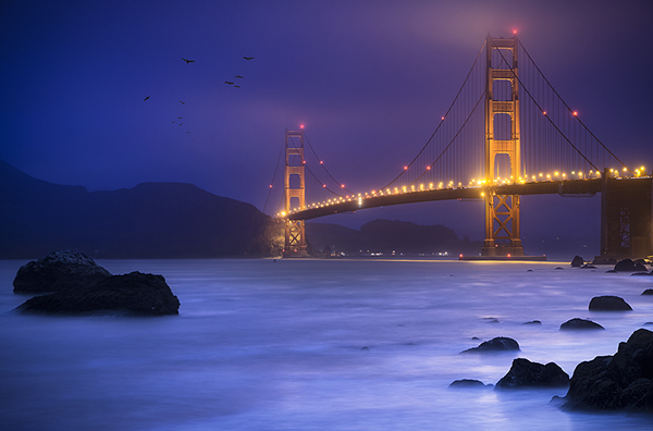 golden gate bridge water article