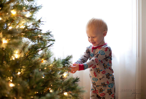 Backlit Christmas Tree Portrait