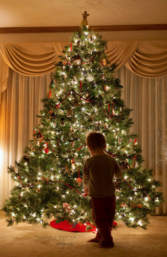 Christmas Tree at Night