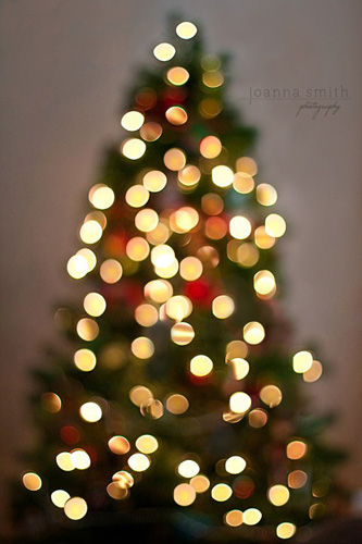 Christmas Tree Bokeh