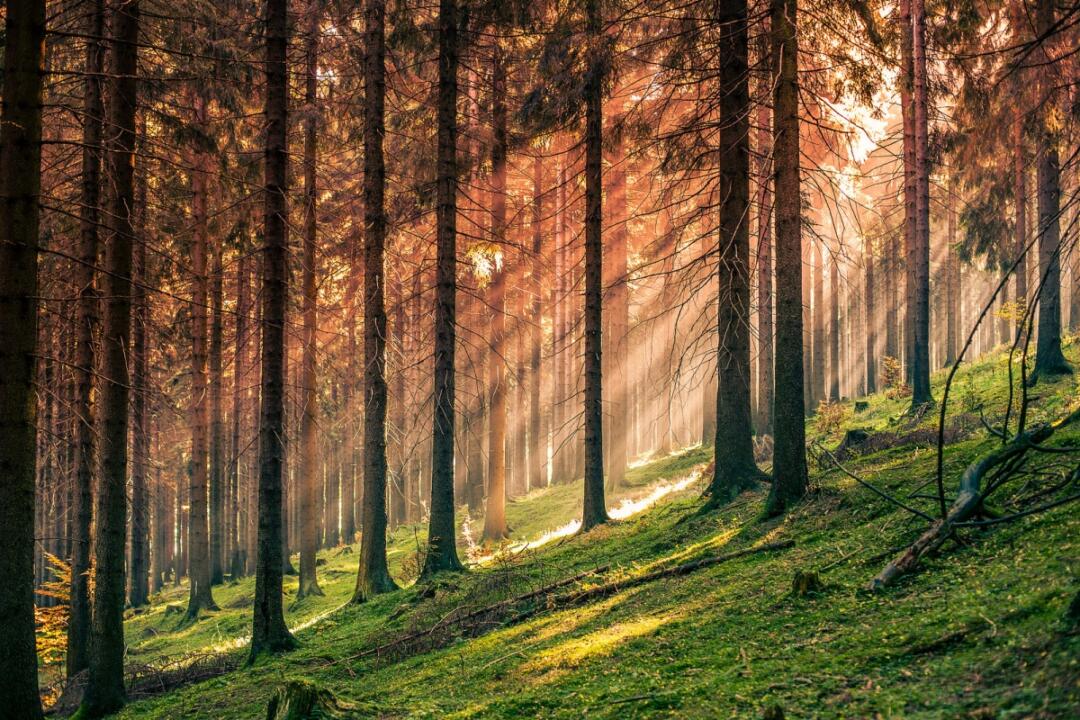 Normal World Landscape 10 Tips for Photographing the Natural World | Light Stalking
