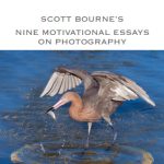 9 motivational essays bourne