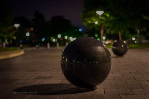 Late Night Ball by ©Sheen's Nature Photography