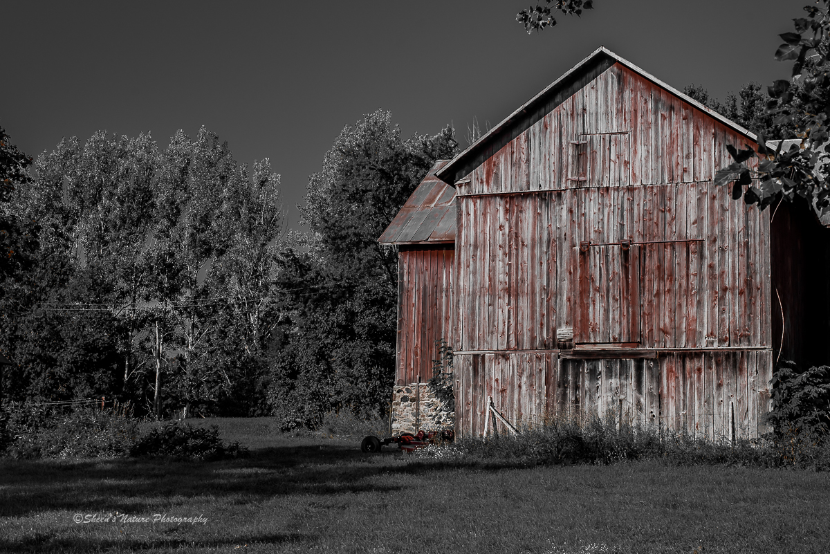The barn ©Sheen's Nature Photography