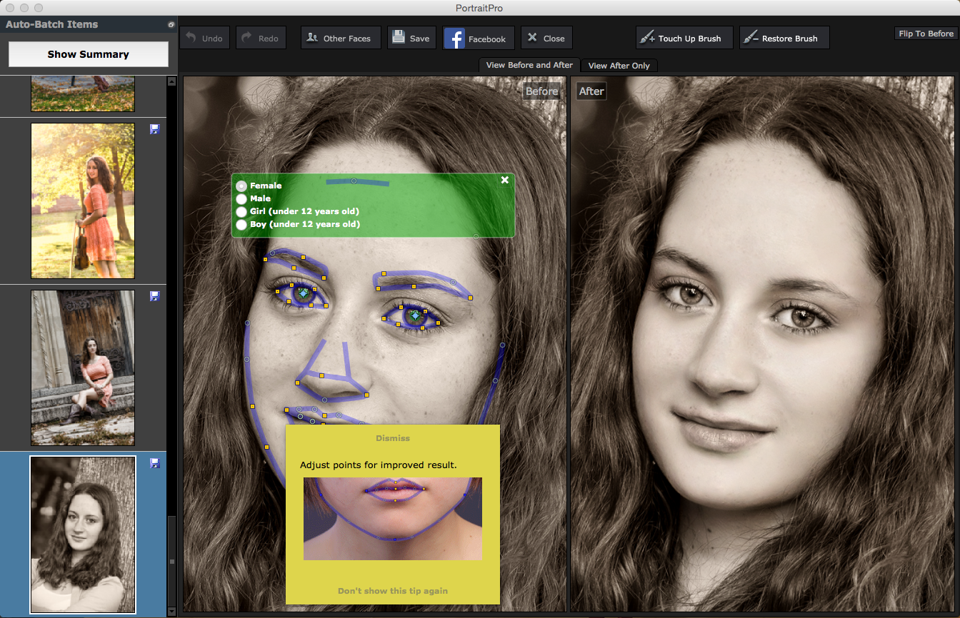 portrait professional 12 portable portrait professional 12 portable