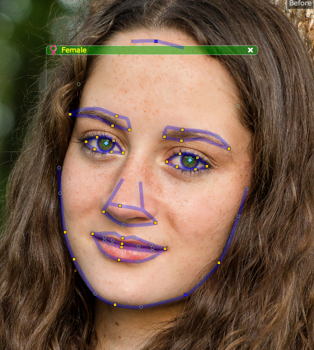 Photograph by Kent DuFault. Adjusting the forehead height is as simple as dragging the purple bar a little higher on the forehead.