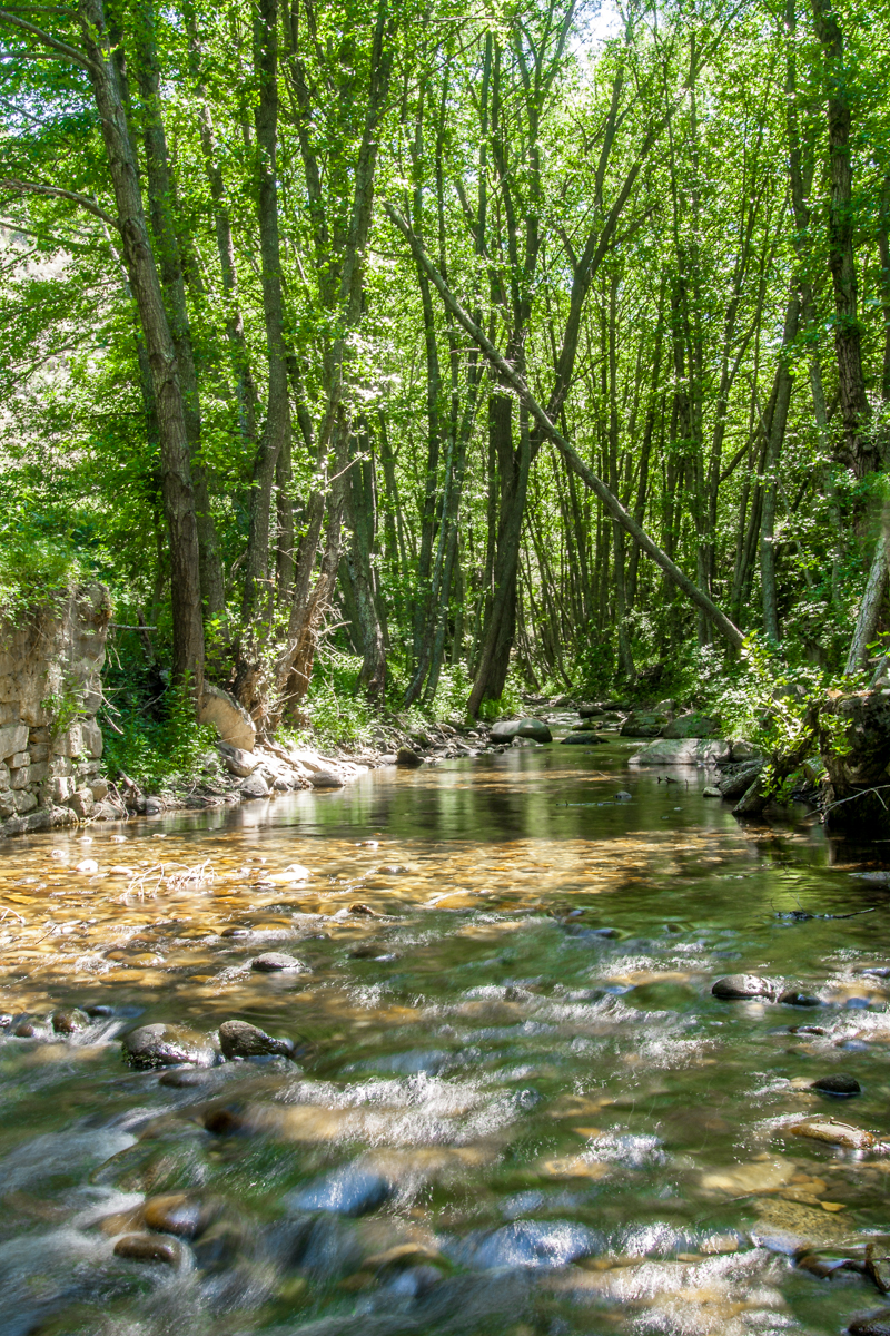 The water in this river was so cold and clean that we drank around 6 liters from it and we had no issues whatsoever.