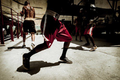 Three boxers in Havana