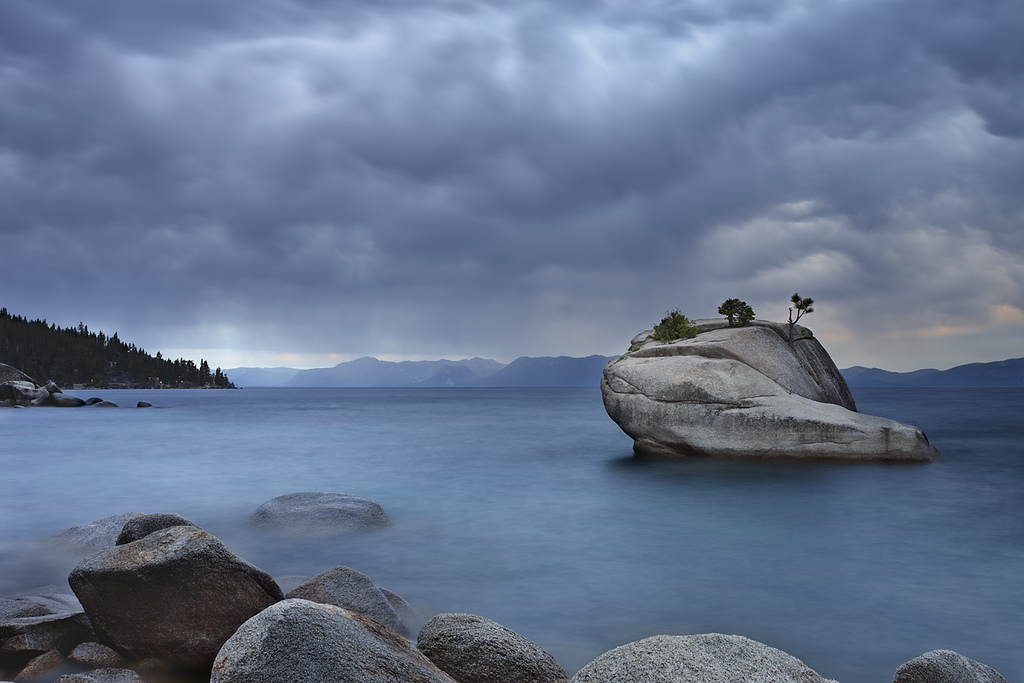 Stormy Bonsai by The Tahoe Guy