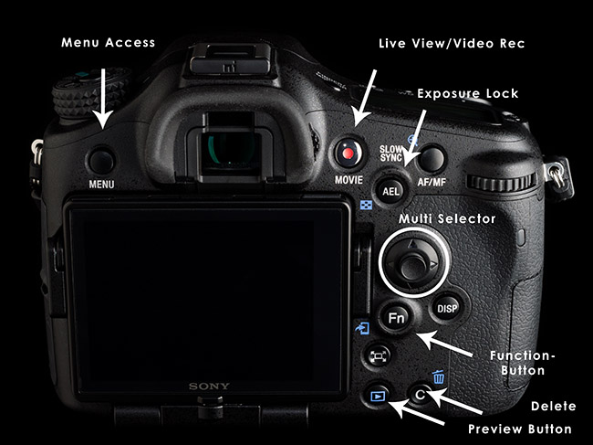 Some of the controls on the rear of your camera.