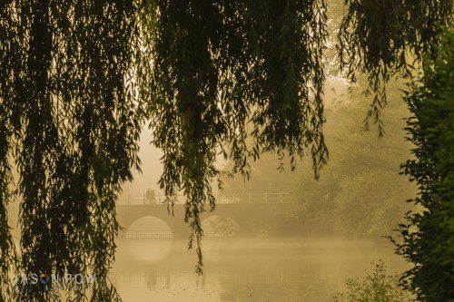 A golden dawn on Minnewater in Bruges