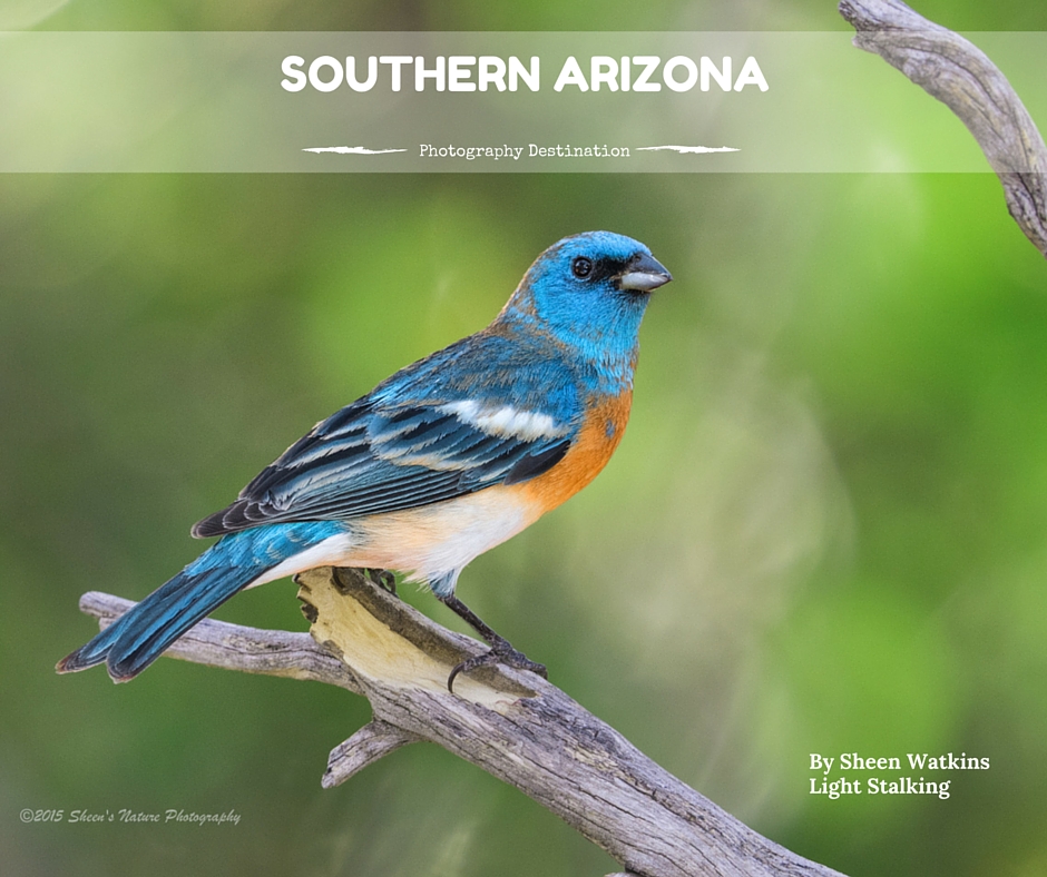 Photography Destination- Southern Arizona