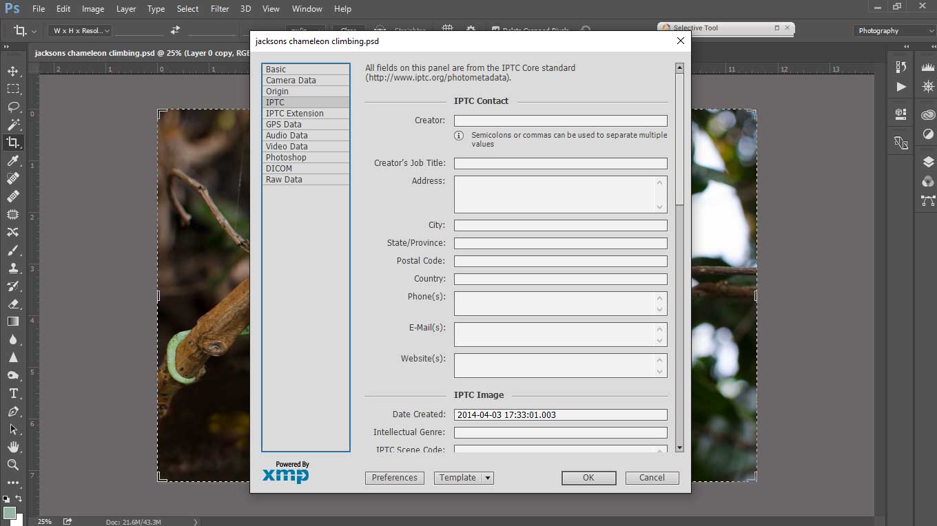 metadata entry form in adobe photoshop