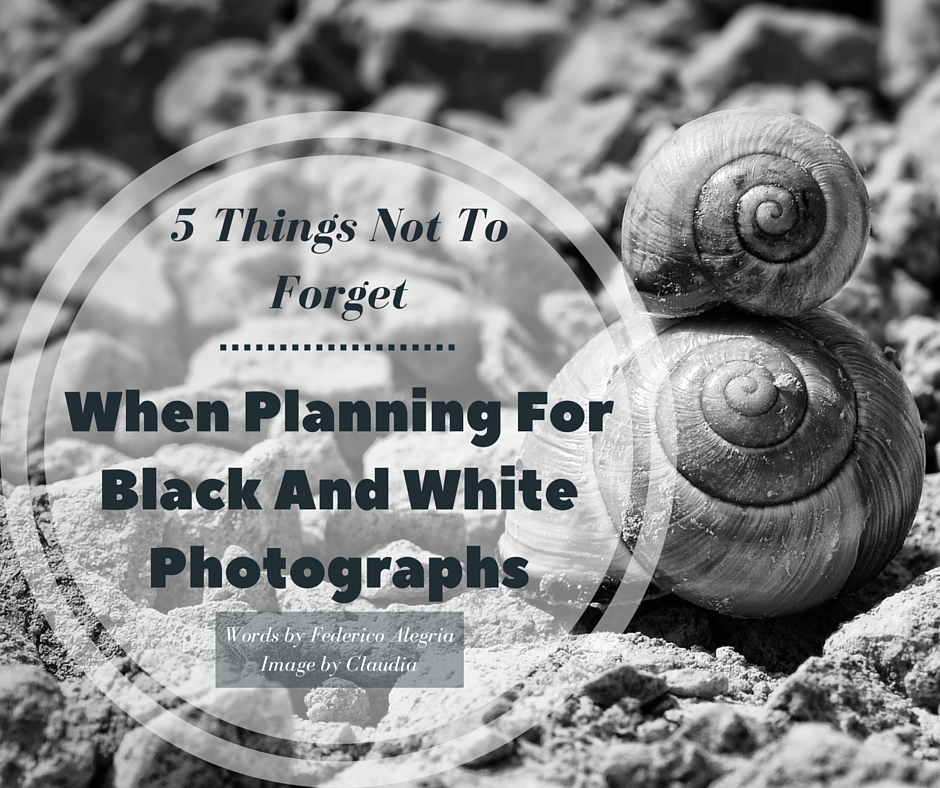 -5 Things Not To Forget When Planning For Black And White Photographs-