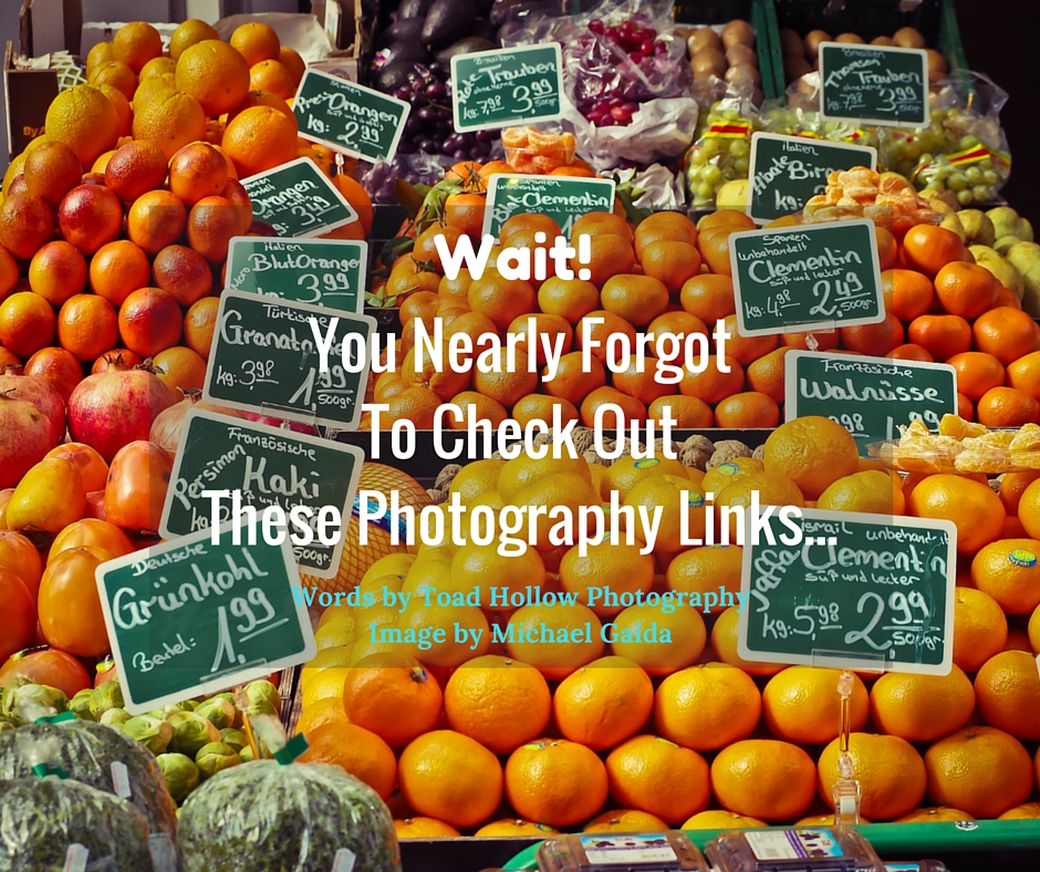 -Wait! You Nearly Forgot To Check Out These Photography Links-