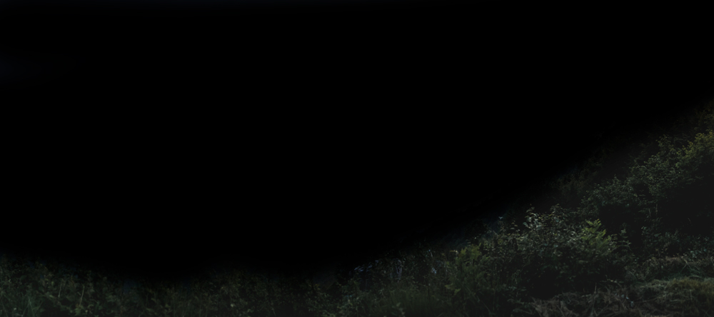 And finally, the foreground from the first image. Roughly masked.