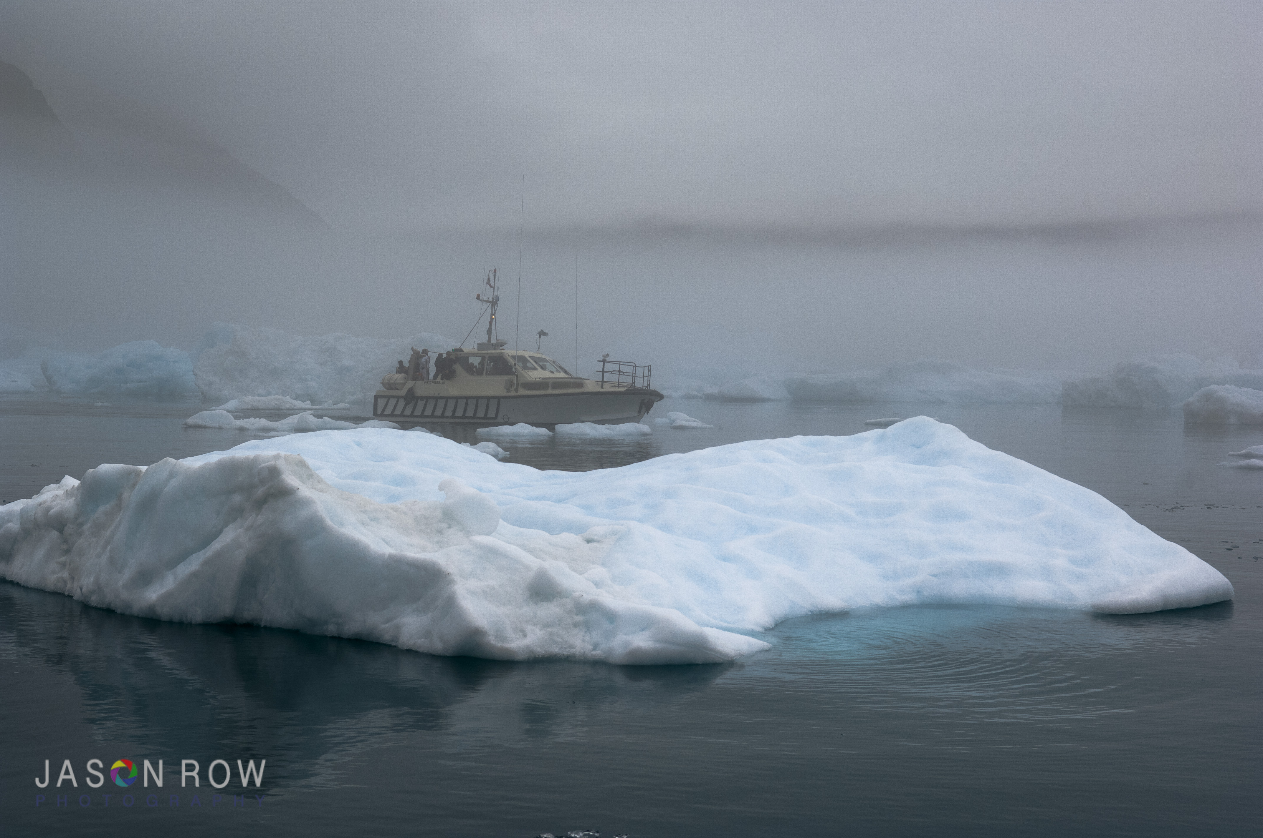 Focussing can be difficult in foggy conditions. By Jason Row Photography