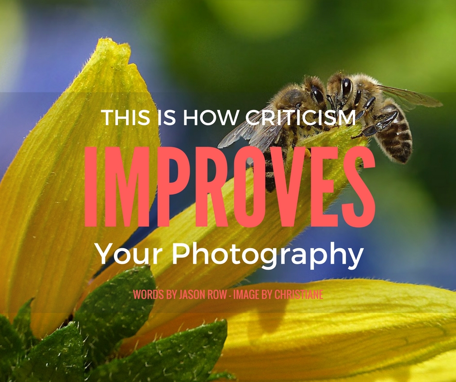 Criticism Improves Your Photography