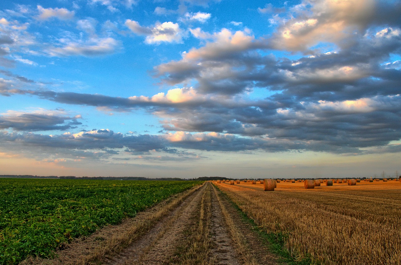 white balance_landscape photography