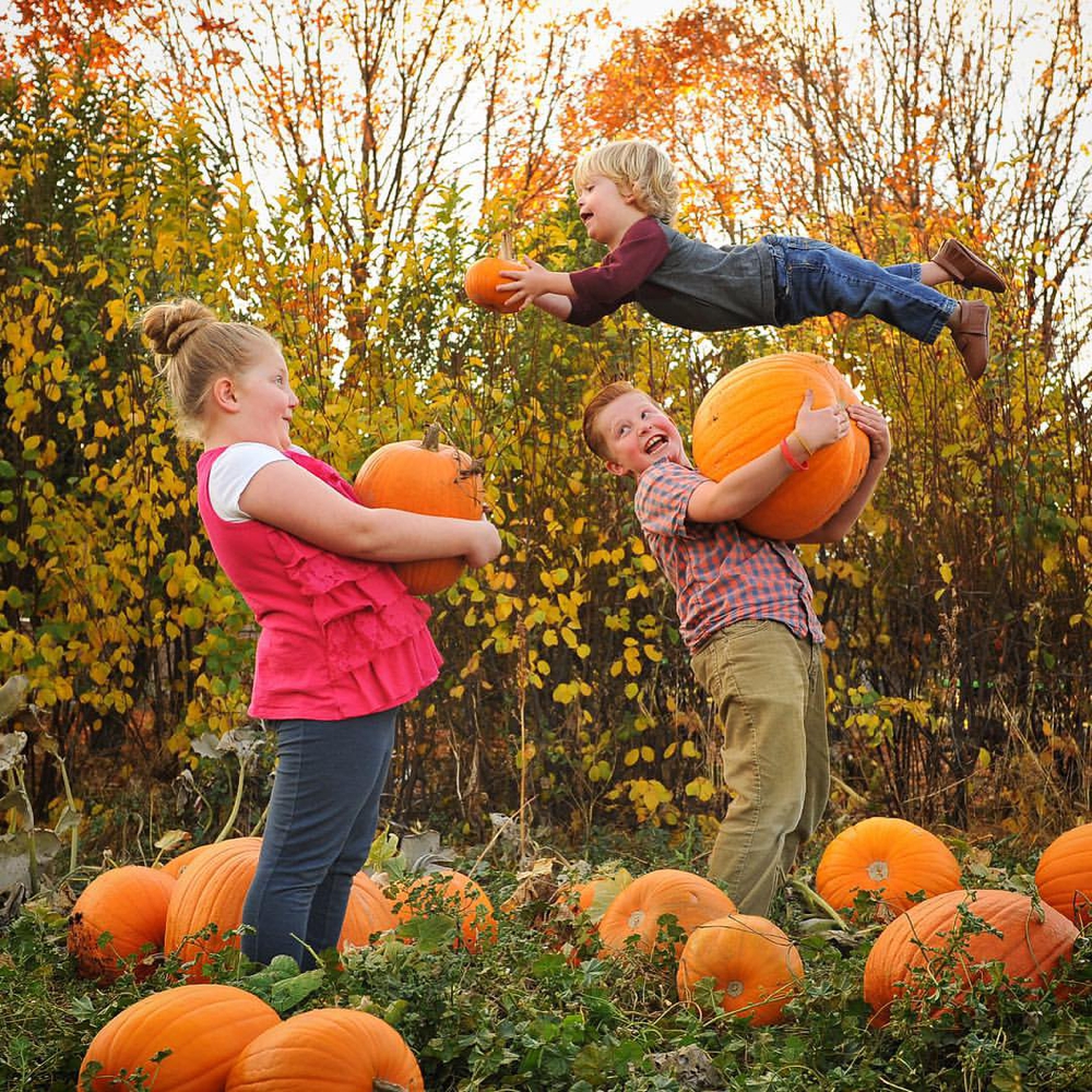 Wil Can Fly - Pumpkins