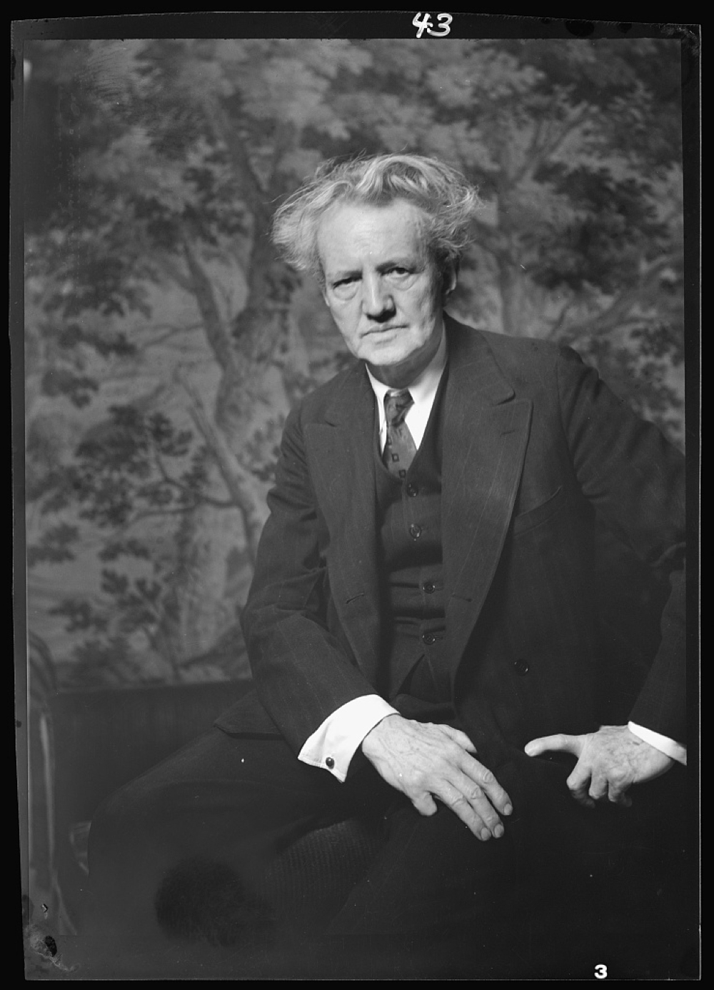 Portrait photograph of Arnold Genthe