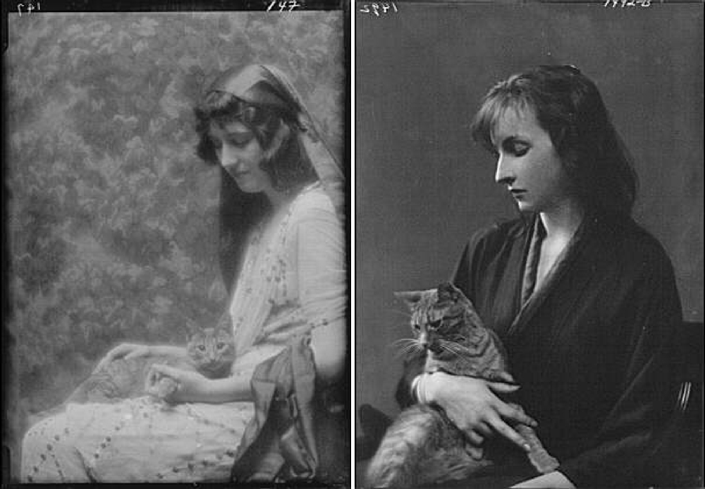 Title from left to right: Maude, Bonnie, Miss, with Buzzer the cat, portrait photograph, Whittaker, Miss, with Buzzer the cat, portrait photograph