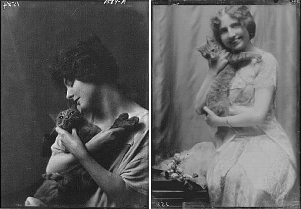 Title from left to right: Bermicchi, Miss, with Buzzer the cat, portrait photograph, Hinckley, Arthur, Mrs., with Buzzer the cat, portrait photograph