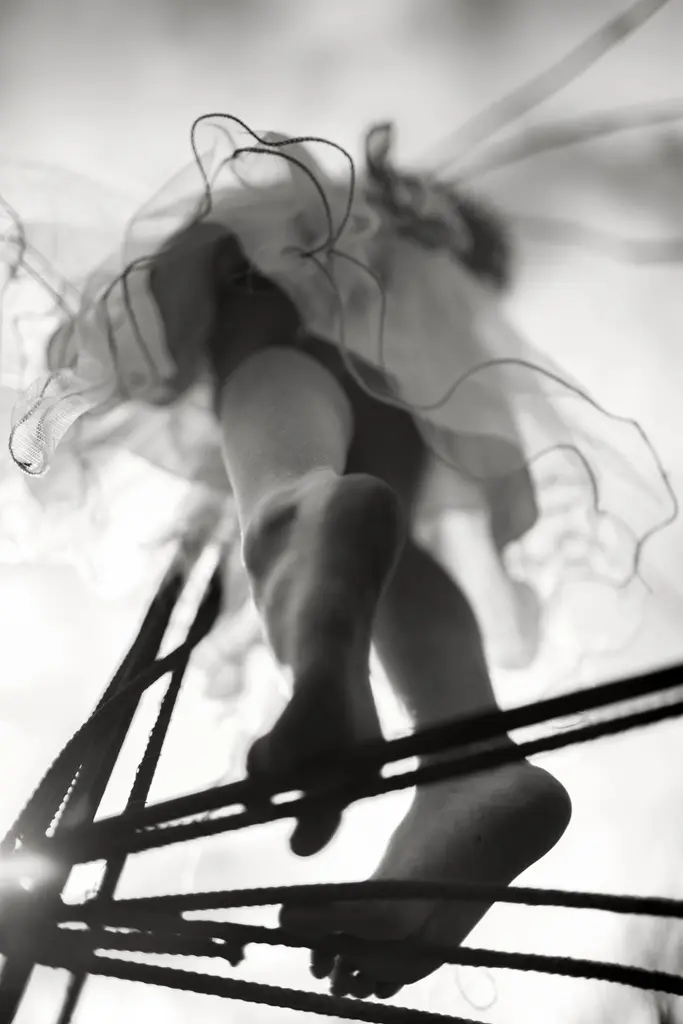 Image by Alain Laboile