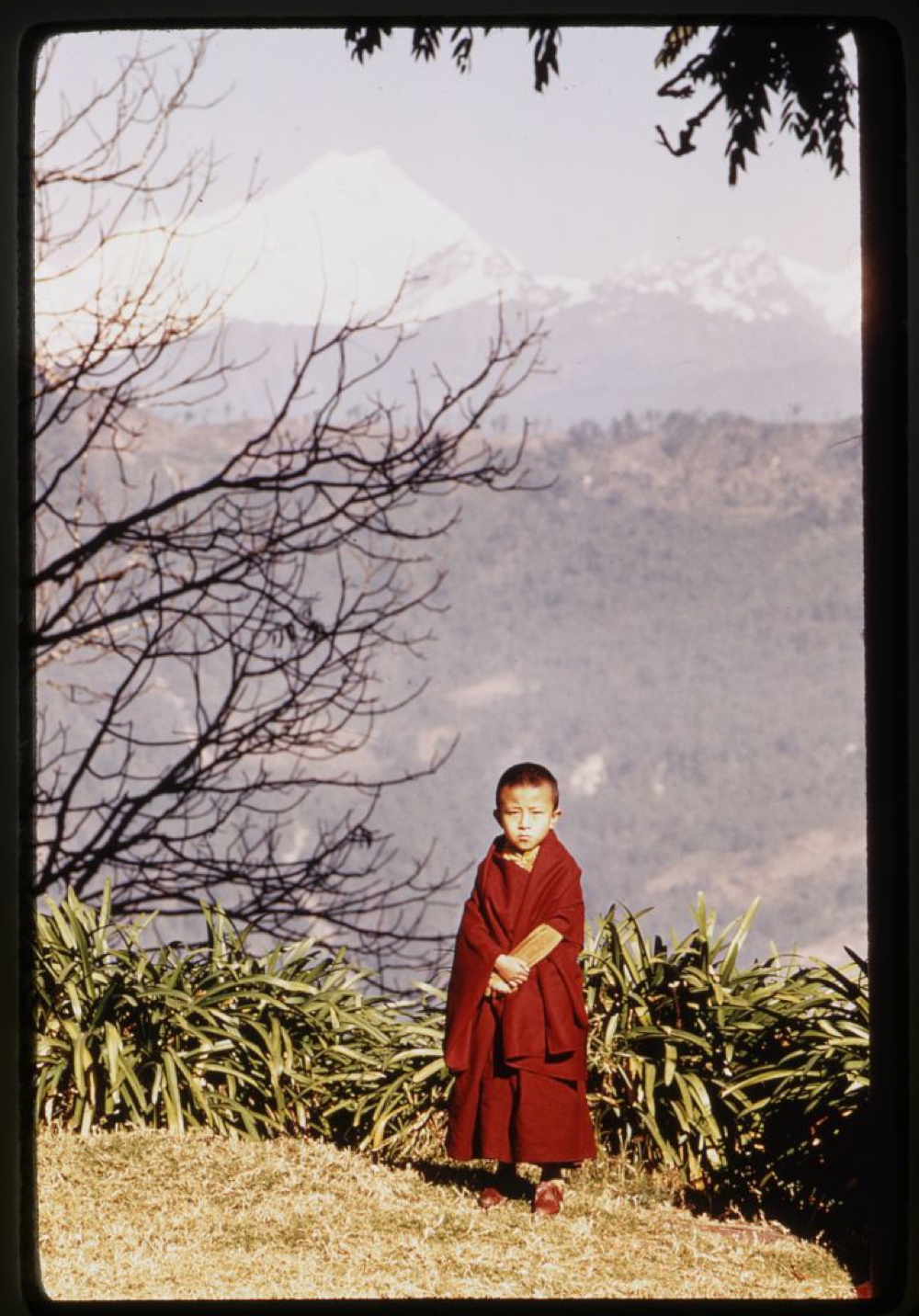 Jamyang Khyentse, full-length portrait, standing, mountains in background, Sikkim