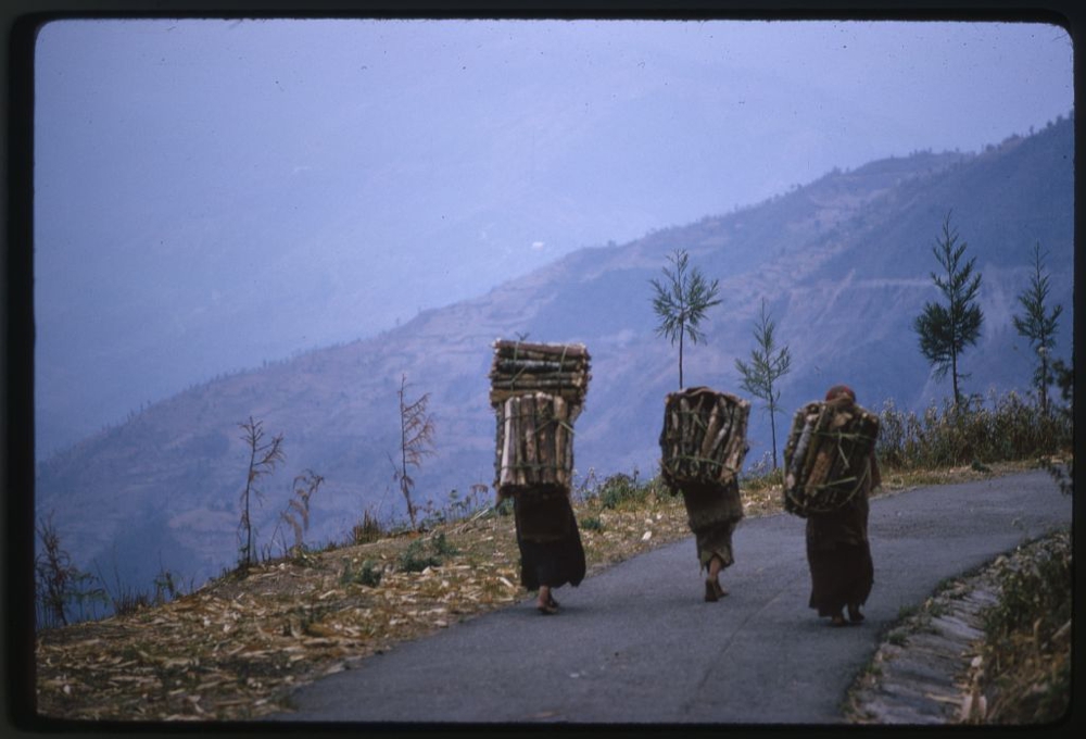 People carrying wood on their backs as they walk along a mountain road, Lachung, Sikkim