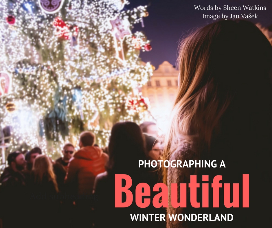 winter holiday photography