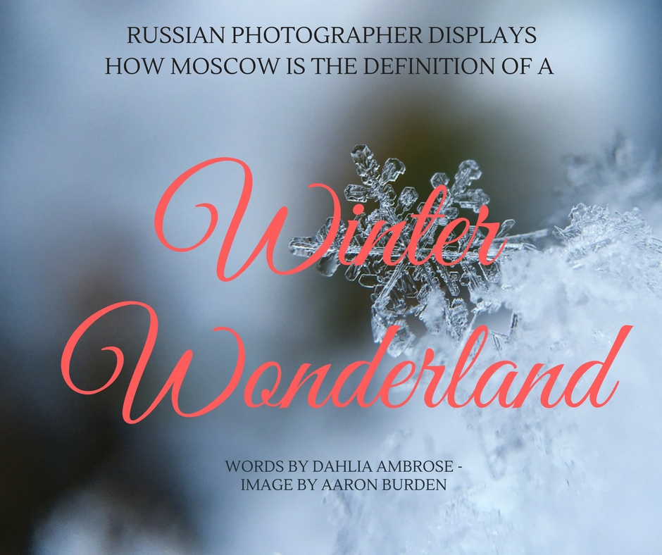 christmas winter photography 